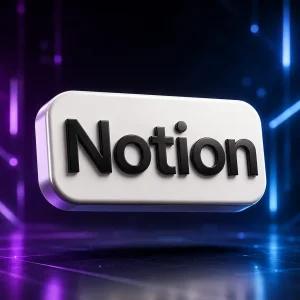 Notion DS