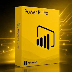 Power Bi Pro DS
