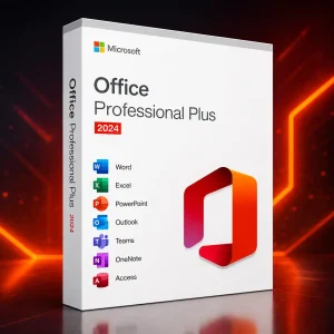 Office 2024 Plus DS